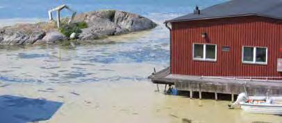 Naturvetenskapliga utbildningar 2018 Kandidatprogrammet i biogeovetenskap Programmet i Biogeovetenskap är en tvärvetenskaplig miljöutbildning som inriktar sig mot naturvård och miljökonsekvenser av