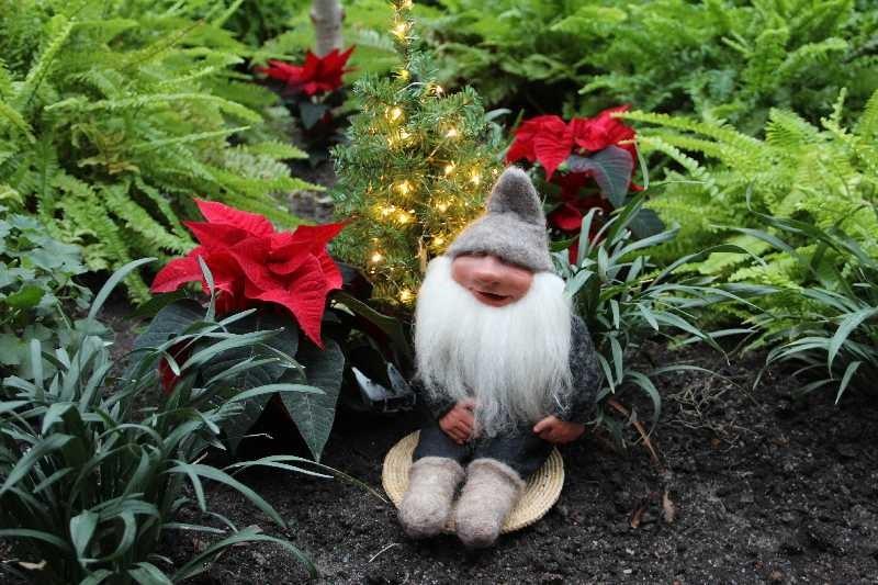 Ha på lite flingsalt så blir det extra gott! Nu har tiden kommit när det är dags för mig att gå vidare. I nov.