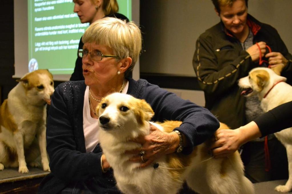 Erna-Britt Nordin presenterade Norrbottenspetsen.