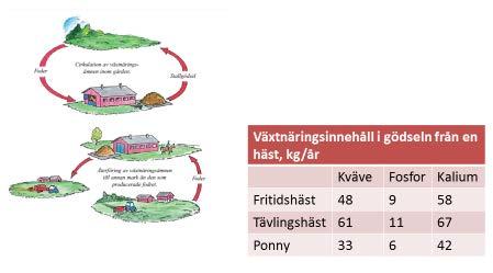 skyddsåtgärder därefter. Det gäller också hantering av hästgödsel, både ute i hagarna och det som samlas upp i stallen och som ska lagras och spridas. Bild 1.