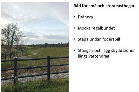 Man också låta analysera fosforhalten i hästens gödsel för att se om man ligger rätt i utfodring.