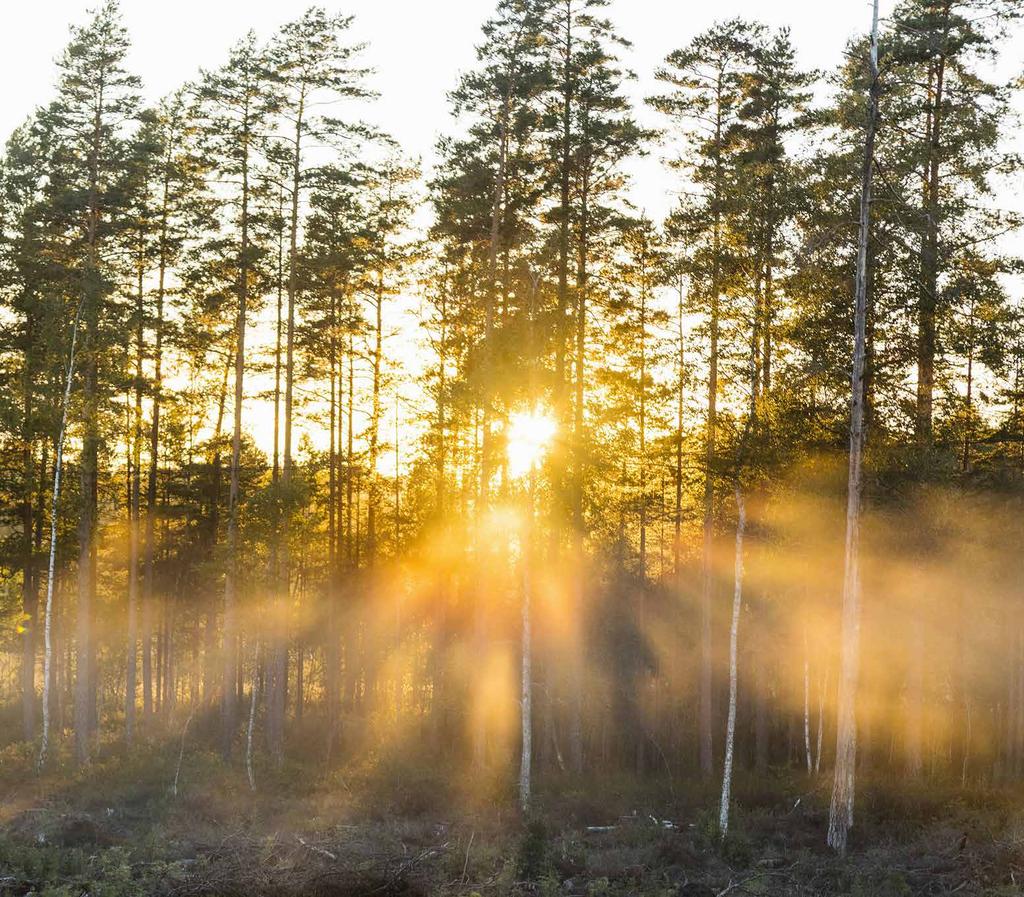 Hållbarhet Bruntlandskommissionens definition är riktlinjen i vårt hållbarhetsarbete: En hållbar utveckling tillfredsställer dagens behov utan att äventyra kommande generationers möjlig heter att