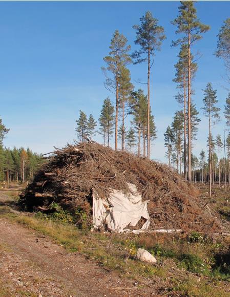 Biobränslen för värme- och kraftvärme Biprodukter från sågverk, massabruk och träindustrier: bark, sågspån, hyvelspån, flis, rötskadad med, mm Skogsavfall: Grot (grenar