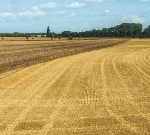 däken: Fendt VarioGrip - ABS Anti-låsninssystem för bromsar - Automatisk kylarrenörin med reversibel fläkt - Separat nivårelerande hjulupphännin på framaxeln med låsfunktion - Konept med LED-belysnin