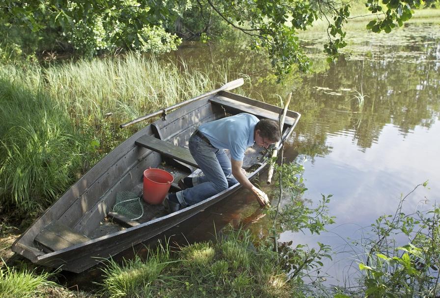 Limnologisk undersökning av Humlesjön 2011 Stellan Ivarsson lyfter på några stenar för att spana efter flodkräftor. Under 2011 genomfördes en limnologisk undersökning av Humlesjön.