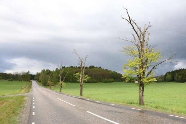 Trafikverkets övriga