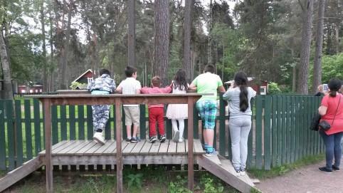 Vi har köpt lite mer material att använda när vi tränar det svenska språket. Utflykt till Mariebergsskogen Programmet blir lite mer organiserat med sång, dagens bibelvers, barnstund och språkträning.