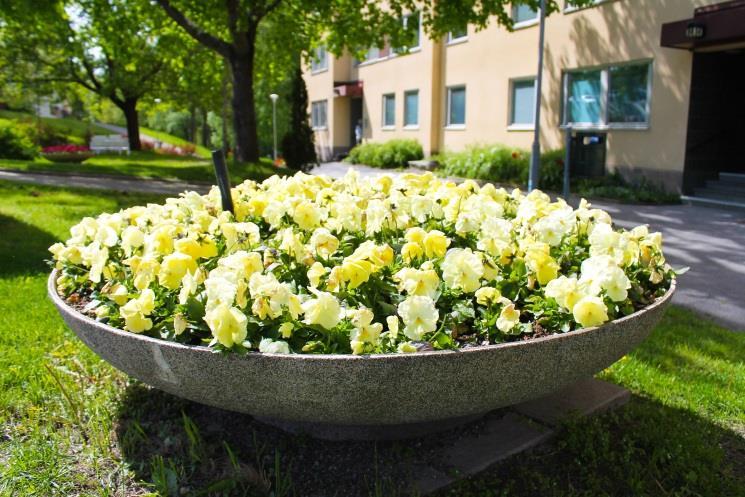 Ordförande har ordet Tack för förtroendet att bli vald till ordförande i Lärkträdet!