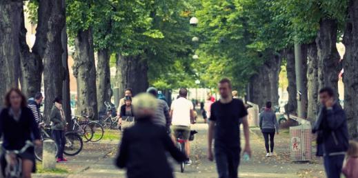 Man arbetar även med att försöka minimera framtida utrymmeskonflikter för träden, ovan och under mark, genom en aktiv planering i återplanteringsprojekt.