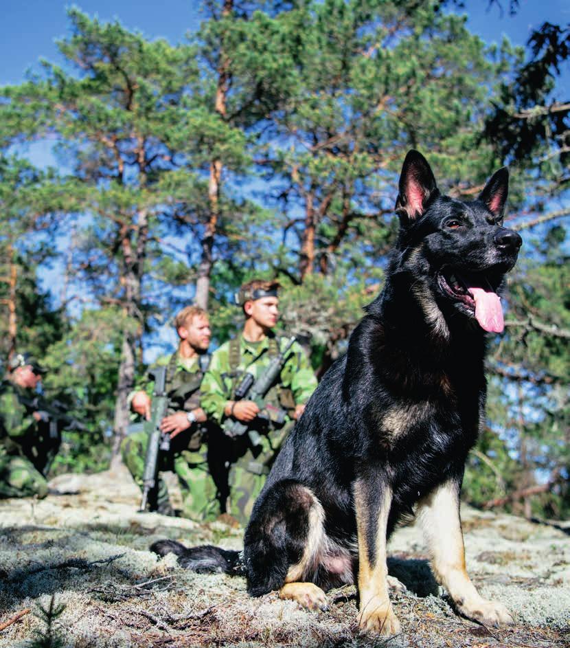 MEDLEMSTIDNING FÖR OFFICERSFÖRBUNDET NR 4 2018 FÖRBANDSBESÖK: Hundnosen är 13.