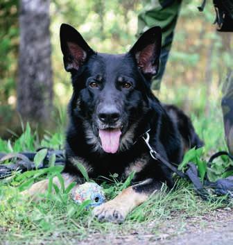 Eftersom bataljonen ska ha förmågan att verka med små enheter över stora områden avspeglas det även i övningsområdet som sträcker sig över större delen av Uppland. Ute vid kusten bedriver 132.