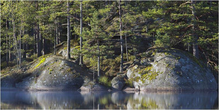 Efter regn kom solsken, snabbt som ögat och Pelle Adel kände sig manad att i lånta fjädrar (som han själv uttryckte det) ta sig en titt på de närmaste omgivningarna, som från andra sidan sjön