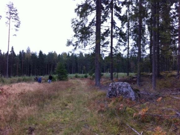 Beskrivning av stationer Bilaga Fjösbo (P) Fjösbo (P) är en källbrunn som ligger i en moränsluttning, se Figur. Stationen är utvald för att representera ett försurningskänsligt grundvatten.