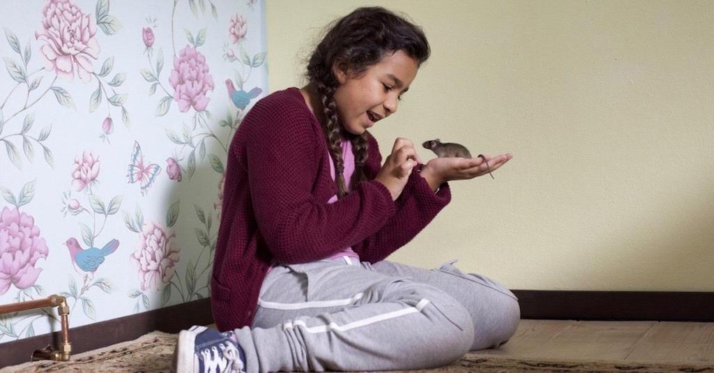 Årskurs 2 FILM Ugglor och möss (Owls and mice) Biografteatern Scala 4-5 okt Meral är nyinflyttad och hennes enda vän är husmusen Peepeep.