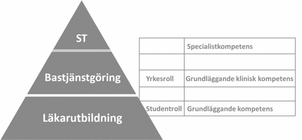 Förslag och bedömningar Ds 2017:56 examen beslutar om utbildningarnas upplägg och innehåll utifrån de mål som gäller för läkarexamen. Figur 5.