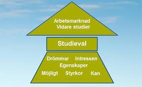 Studie- och yrkesvägledning Hemkommunen är skyldig att se till att den som avser att påbörja utbildning på grundläggande nivå erbjuds studie- och yrkesvägledning. (SL 20 kap.