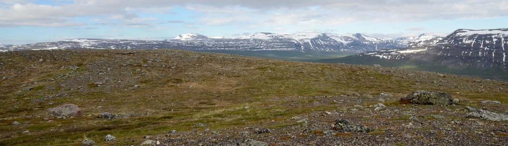 All common birds. De årliga indexen motsvarar de som tidigare rapporterats, men nytt är att genomsnittliga trender med 95% konfidensintervall har beräknats (Soldaat m.fl.