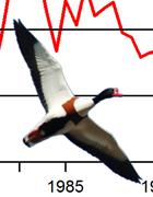Figur. forts. Populationstrender för 86 arter. Species indices (cont.).