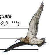 Figur. forts. Populationstrender för 86 arter. Species indices (cont.)..5 Morkulla, Scolopax rusticola (-, -, -; 5,, NS; 58,, NS).5 Storspov, Numenius arquata (-, -, -; 8, -,6, ***; 6, -,, ***).