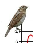 Figur. forts. Populationstrender för 86 arter. Species indices (cont.).. Sparvuggla, Glauc. passerinum (8,,6, **; -, -, -;, -5,9, NS) 8 Jorduggla, Asio flammeus (-, -, -; -, -, -; 8, -, NS) 6.