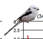 Figur. forts. Populationstrender för 86 arter. Species indices (cont.)..5 Nötkråka, Nucif. caryocatactes (, -,6, ***;, -,, **;,,5, NS).
