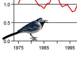 Figur. forts. Populationstrender för 86 arter. Species indices (cont.). Grönsångare, Phylloscopus sibilatrix (-, -, -; 6, -,5, *; 7, -,, NS).