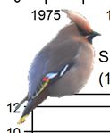 Figur. forts. Populationstrender för 86 arter. Species indices (cont.). 5 Forsärla, Motacilla cinerea (-, -, -;,,, NS;, 5,, **) 5 Gulärla (S), M. f. flava (-, -, -; 6, -,7, ***; 57, 5,, ***) Gulärla (N), M.