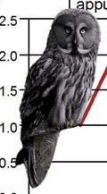 Figur 5. forts. Trender för fåglar räknade på natten. Species indices (cont.).