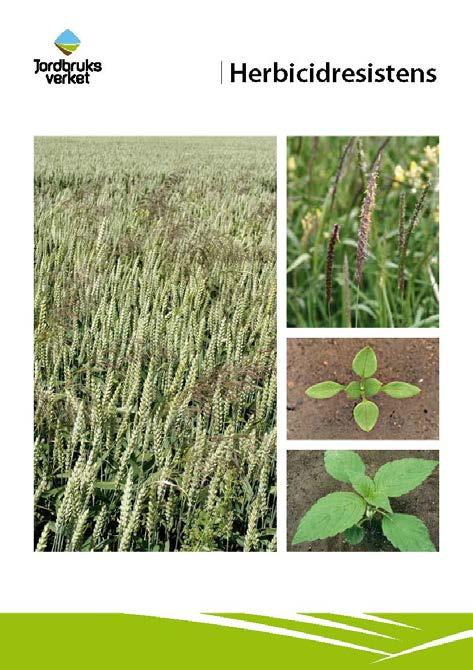 Strategier mot herbicidresistens En större användning av odlingstekniska kontrollåtgärder såsom plöjning, växtföljd, senarelagd sådd, Ett minskat beroende av hög-risk