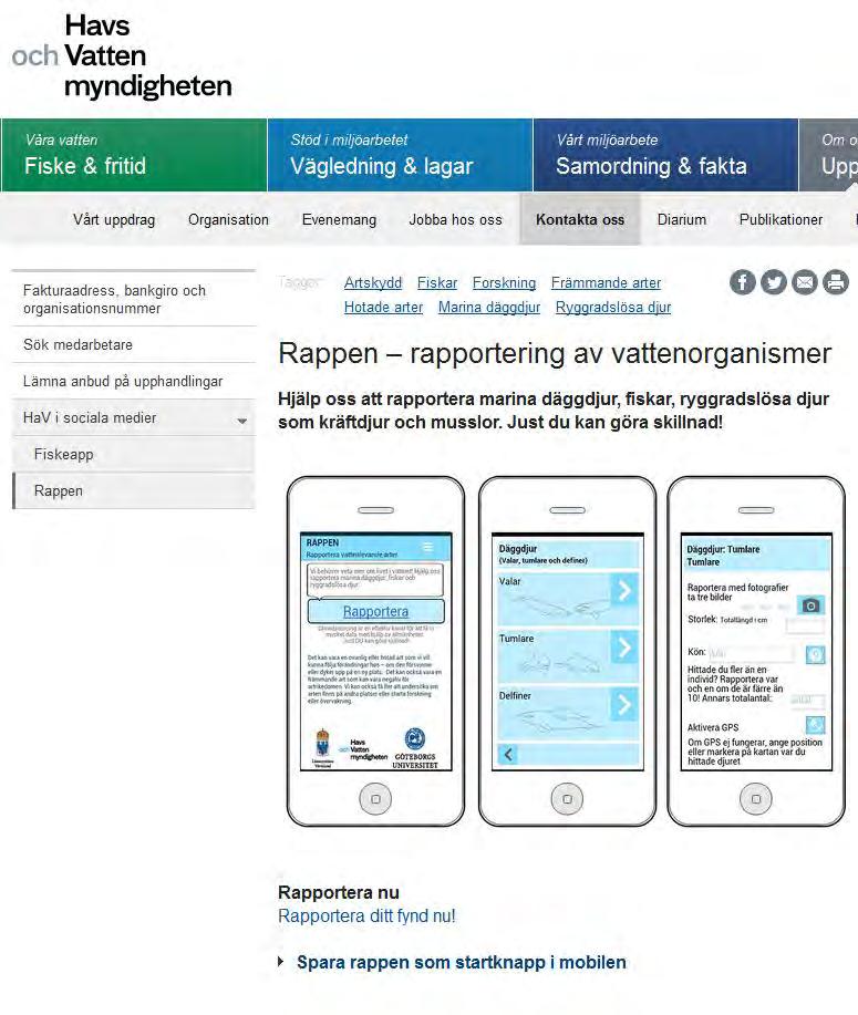 Att läsa om speciella arter och att rapportera in nya fynd till oss!