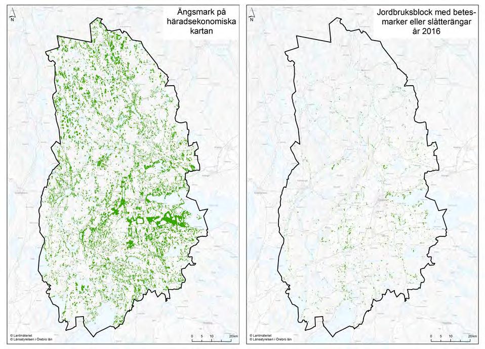 Indelningen i inägor med åkrar och ängar och utmarker med bete på skogen dominerade det svenska odlingslandskapet i nästan 2000 år.