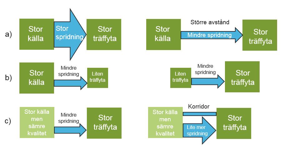 Figur 6. Olika variablers påverkan på möjligheterna för en art att sprida sig från ett område till ett annat. Illustration från Ola Olsson, Lunds Universitet.