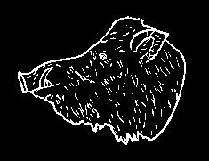 Trofésköldar Art.