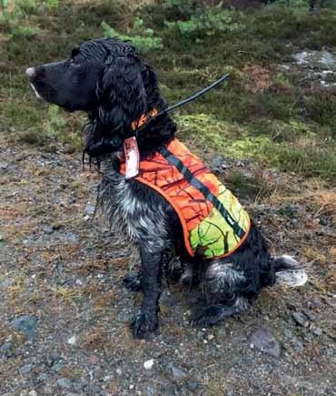 774814 SINALSADEL NR 3 För hundar med vikt ca 30-40 kg. Halsöppning, omkrets 44 cm. Längd: 38 cm.