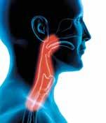 En injektionsflaska innehåller 20 ml (100 mg) eller 100 ml (500 mg) cetuximab. Dosering: Erbitux ges en gång per vecka vid alla indikationer. Den första dosen är 400 mg cetuximab per m 2 kroppsyta.