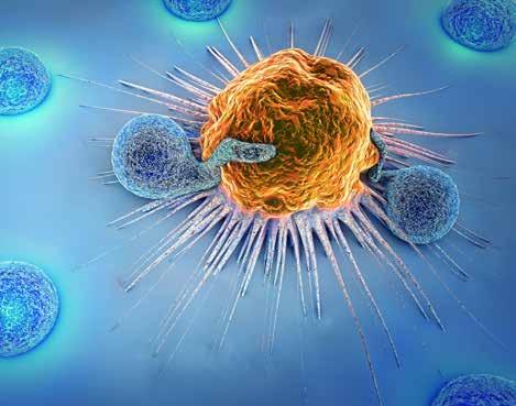 Kolorektalcancer Helga Hagman presenterade sin avhandling: A targeted approach to maintenance of tumour response. Clinical and translational studies in metastatic colorectal cancer.