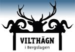 Ludvikafonden fick till sitt förfogande 30 miljoner kronor, varav staten och ABB tillsköt hälften var. Väsman Invest AB bildades 18 februari 1991.