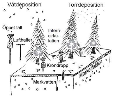 Sammanfattning På uppdrag av Värmlands läns Luftvårdsförbund mäter och provtar IVL nedfall av luftföroreningar och markvattenkvalitet på tre platser i länet.
