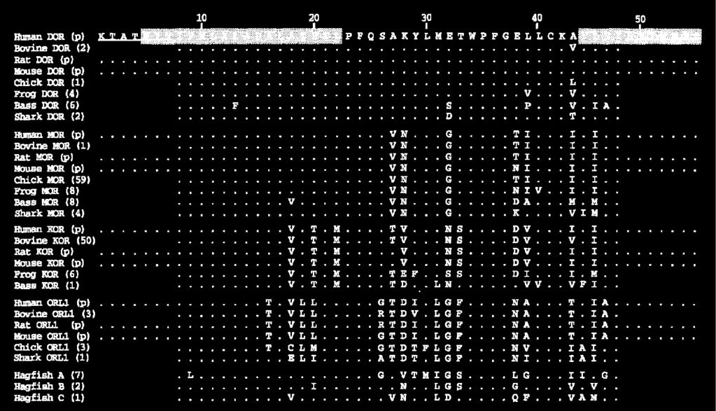 i cellmembranet extracellulärt i