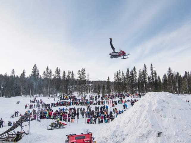 (Frostviken Sled Day forts.