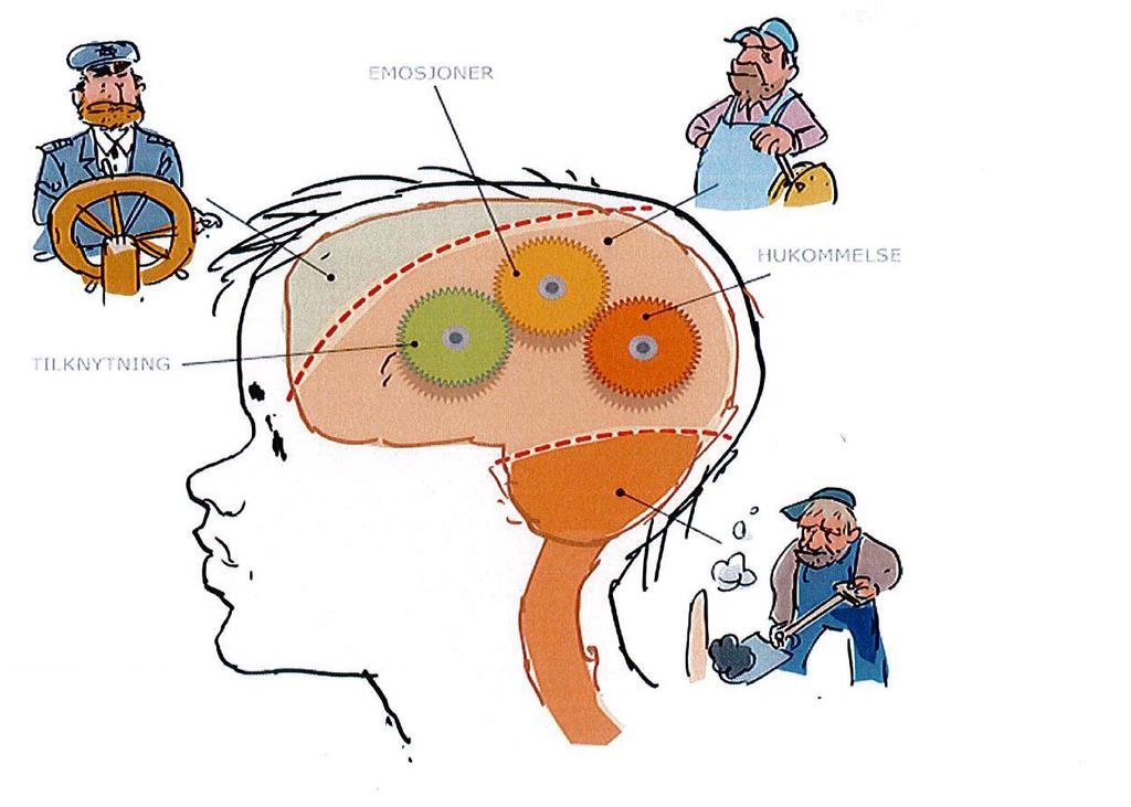 Kaptenen - Neocortex - Förnuftig, reflekterande, konsekvenstänkande Den fungerande hjärnan Maskinisten - Paleocortex - Förmedlar energi från