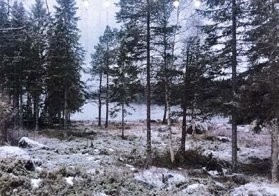 miljöbalken, till eempel inom ett naturreservat, samt när det gäller försvarsanläggning, allmän väg eller järnväg.