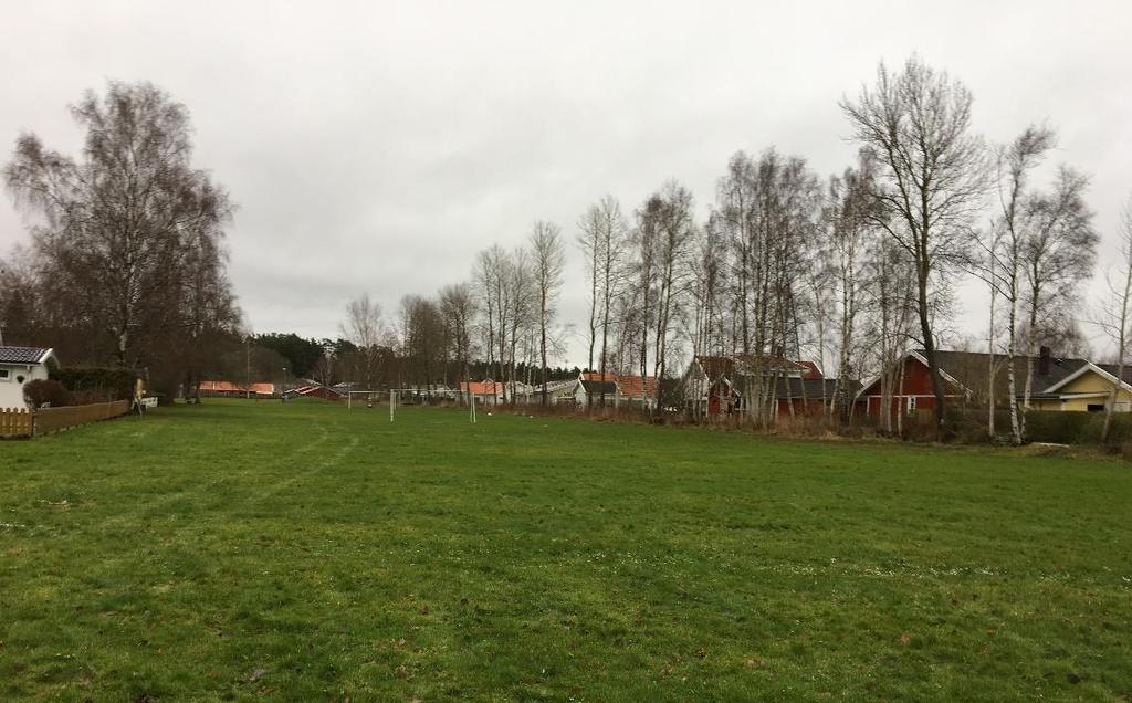 FÖRUTSÄTTNINGAR, FÖRÄNDRINGAR OCH KONSEKVENSER Natur Mark och vegetation Området består av 50 meter bred gräsyta som tidigare utgjorde buffertzon mellan villabebyggelse och jordbruksmark fram till