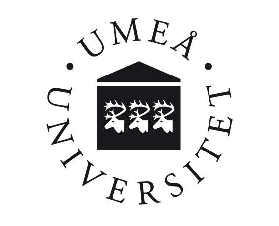 UMEÅ UNIVERSITET Institutionen för socialt arbete Uppsats 15 hp Termin 6 Höstterminen 2016 Det handlar om att ta ställning för
