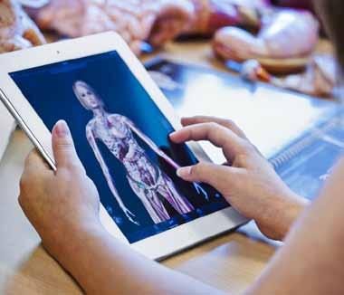 Förvaltningsberättelse Mål och måluppfyllelse Vision: 15 000 stolta göingar Fokusområden Visionen Plattformen för visionen är: stabil ekonomisk hushållning god livsmiljö och långsiktig hållbar