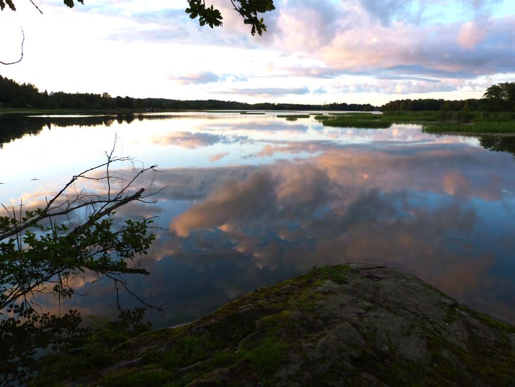 Resultat Inventering av fladdermöss i Trollhättans kommun 2015 2016 Utifrån den knappt 7500 artbestämda ljudinspelningar och en mängd fältobservationer kunde 10 arter fladdermöss konstateras i