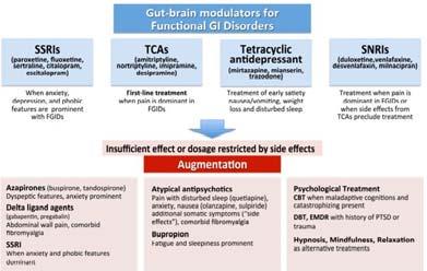 Neuromodulatorer Funktionell mag-tarmsjukdom Drossman et al Gastroenterology 2017 Neuromodulatorer - IBS Val av läkemedel: Symtomprofil: GI Psykiatrisk Kostnad Tidigare erfarenhet