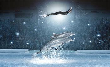 exotiska djur. Givetvis kommer vi se Kolmårdens otroliga delfinshow!