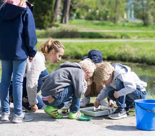 Verksamheten 2017 Basverksamheten Vår basverksamhet utgörs av aktiviteter för skolan: skolprogram, prao och gymnasiearbeten för elever, samt fortbildningar för lärare.