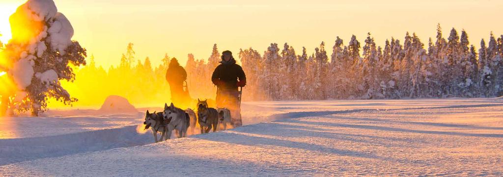 Det är något som saknas Det kan verka orimligt att Johan och Saras hundar skulle sakna något.
